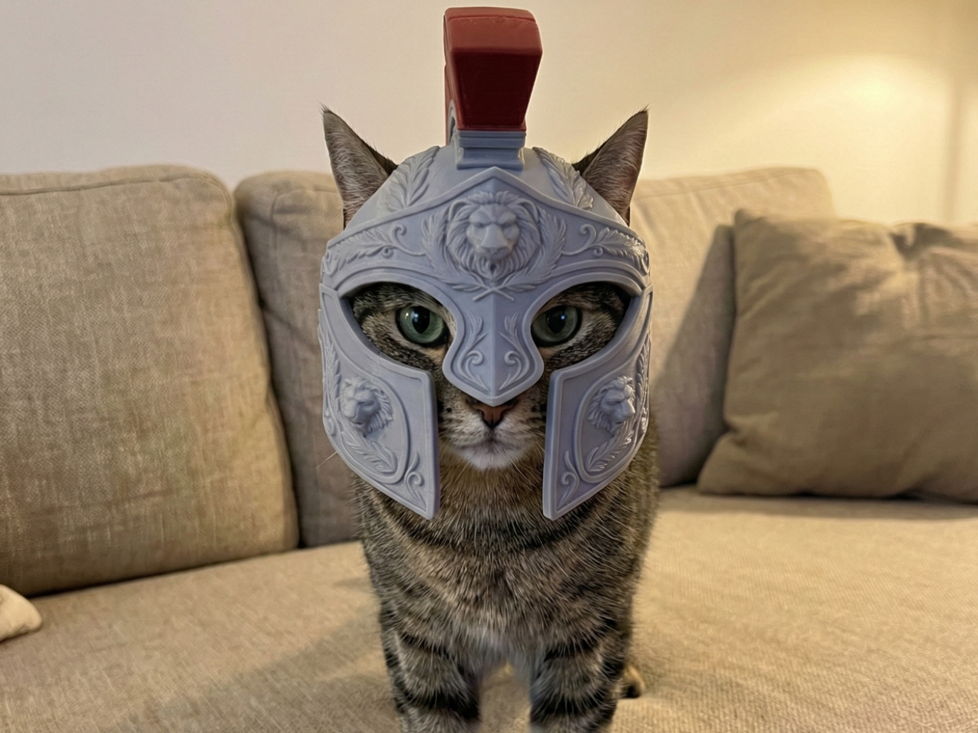 Casco Centurión para Gato